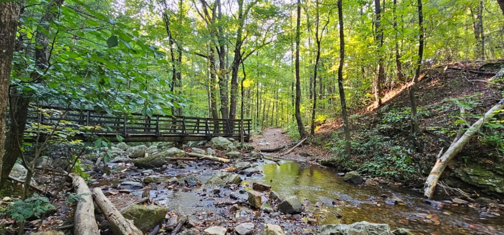 A bridge over a creek in a Tennessee forest.