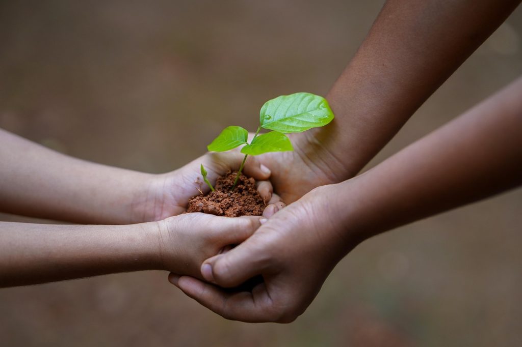 To pairs of hands are together holding soil with a small new plant  suggesting collaboration, support, connection, inclusion, and supervision and sharing in the learning process.