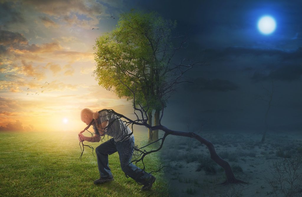 This image shows a man struggling against the roots of existential darkness and despair working hard to pull himself into the light side of the image of bright connection and meaning. This image represents the struggles and challees of life transitions and the anxiety that individuals may face, existential anxiety or uncertainty anxuiety, during any life transition, including generalized anxiety and constandt struggle individuals with ADHD face interacting with a world that does not get them.
man, adventure, transition, travel, male, person, hardship, motivation, night, morning, sun, sunlight, sunrise, moon, moonlight, concept, forest, landscape, nature, hardship, hardship, hardship, hardship, hardship, motivation